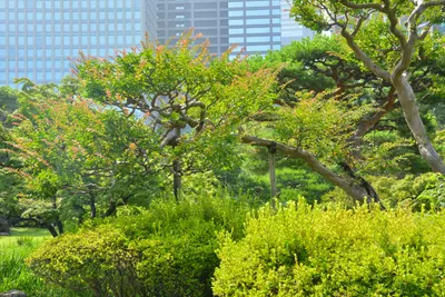 DSC_3387 (Large).JPG